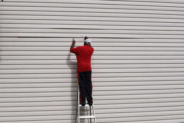 Best Custom Siding Design  in Wildwood, TN